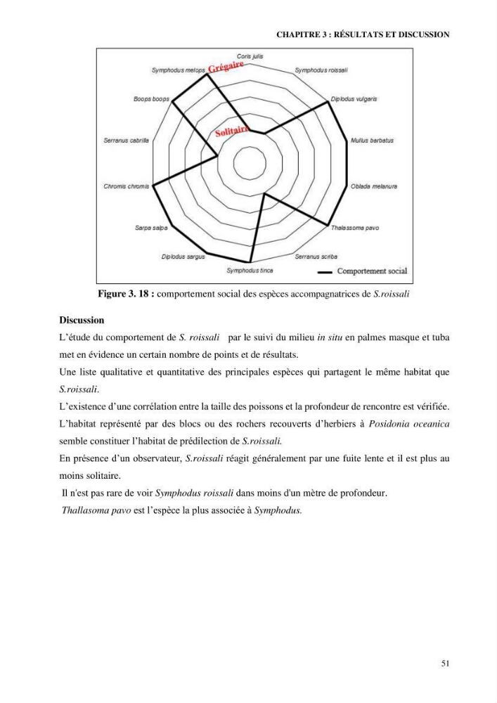Contribution à l’étude de Symphodus roissali (Risso, 1810) des côtes centres du bassin algérien