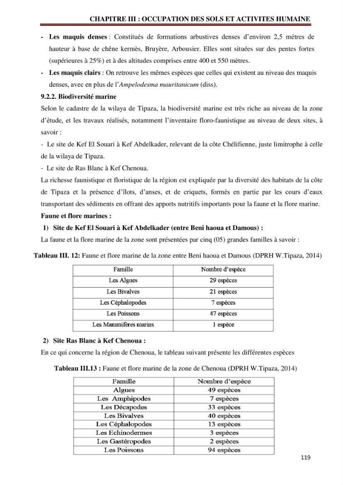 Contribution à l\'élaboration d\'une base de données dans le cadre de la gestion intègrée du littoral Algérien