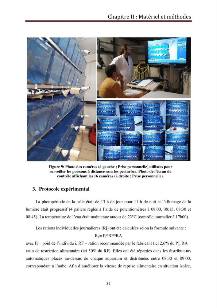 Contribution à l\'élaboration d\'une méthode d\'estimation de l\'éfficacité alimentaire individuelle. chez le bar commun. Dicentrarchus Labrax(Linnaeus,1758):