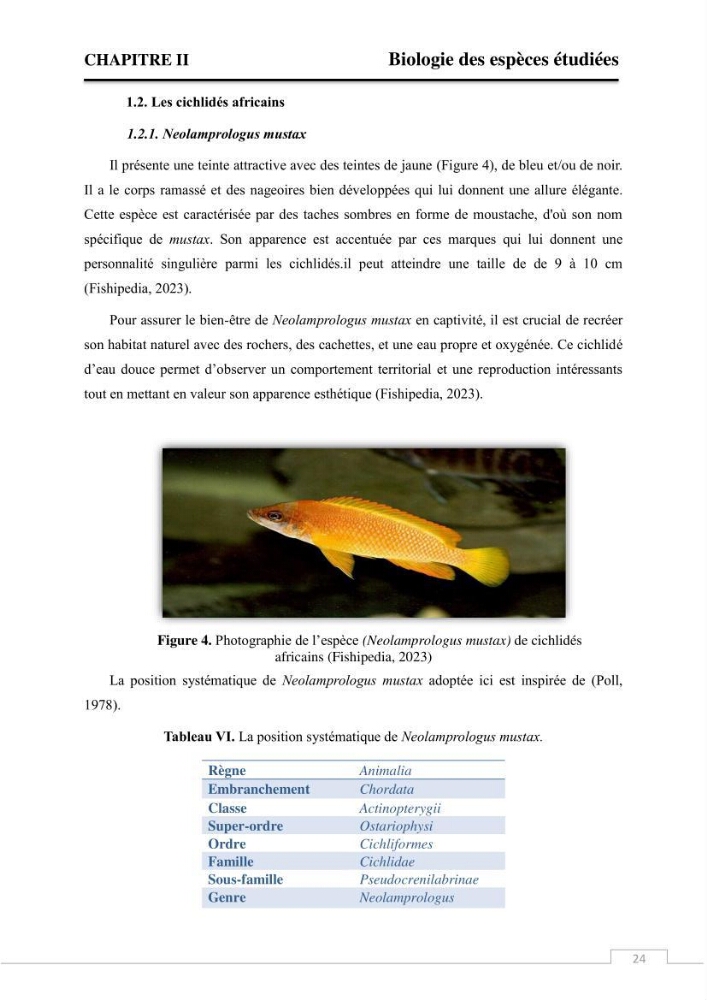 Valorisation des déchets issus de la pêche, après transformation par voie Biotechnologique