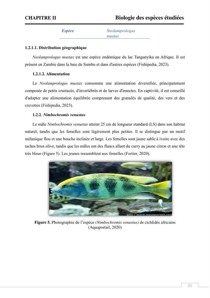 Valorisation des déchets issus de la pêche, après transformation par voie Biotechnologique