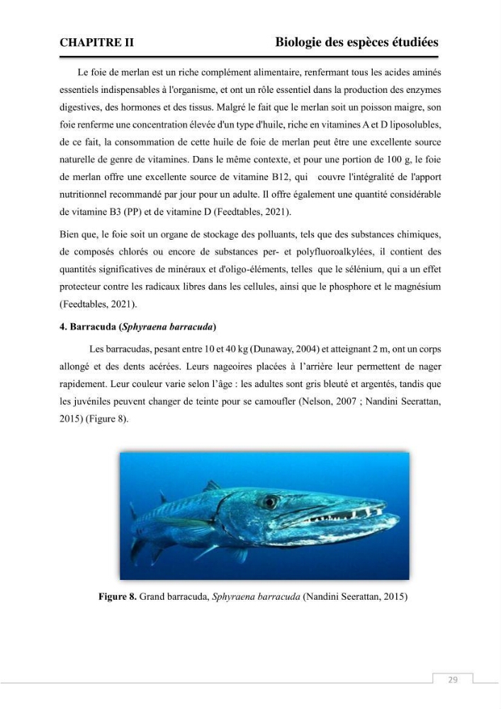 Valorisation des déchets issus de la pêche, après transformation par voie Biotechnologique