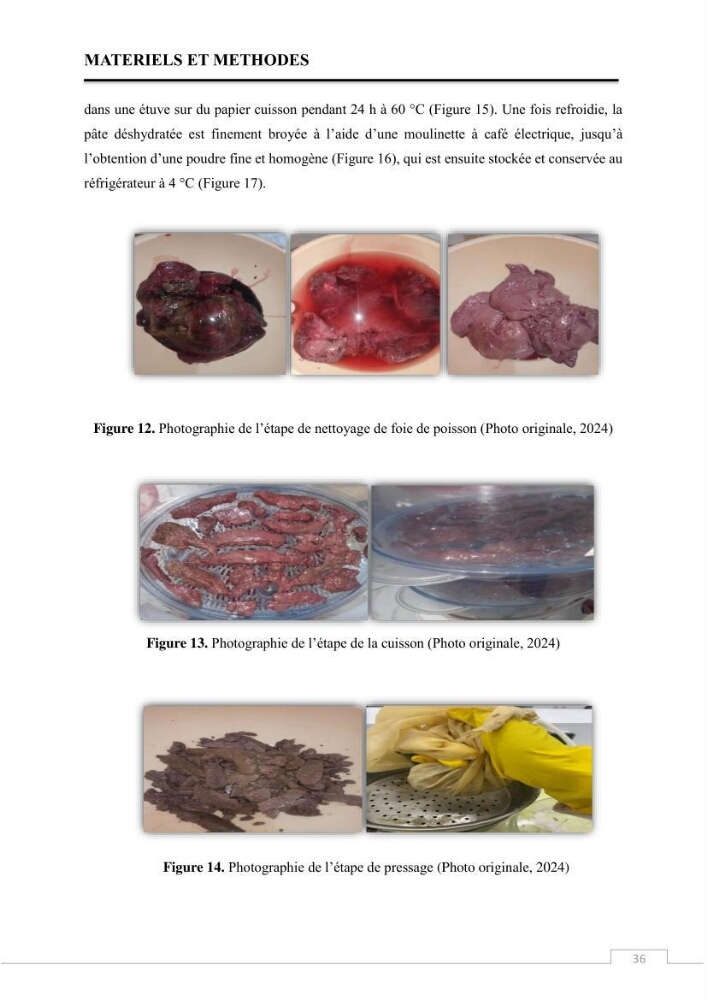 Valorisation des déchets issus de la pêche, après transformation par voie Biotechnologique