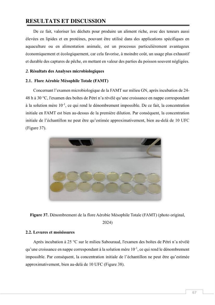 Valorisation des déchets issus de la pêche, après transformation par voie Biotechnologique