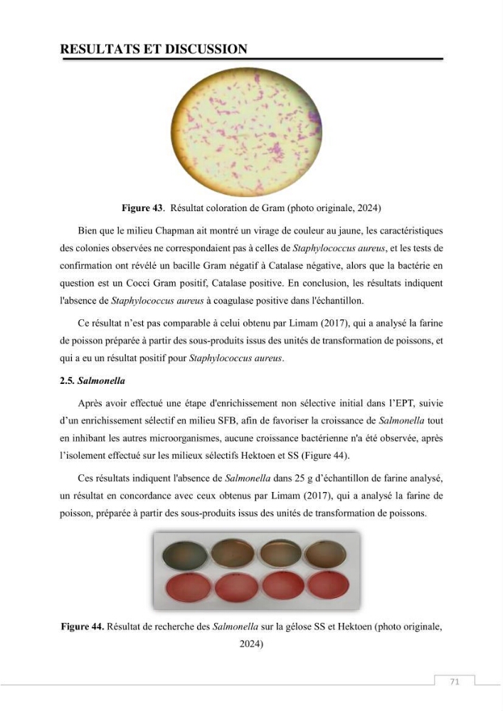 Valorisation des déchets issus de la pêche, après transformation par voie Biotechnologique