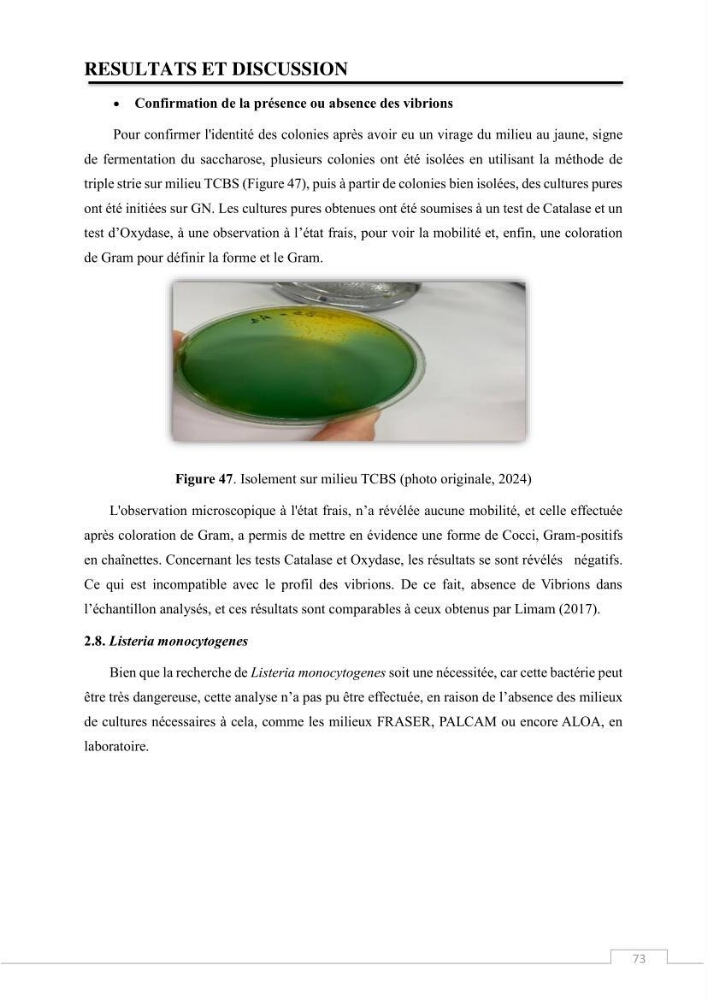 Valorisation des déchets issus de la pêche, après transformation par voie Biotechnologique