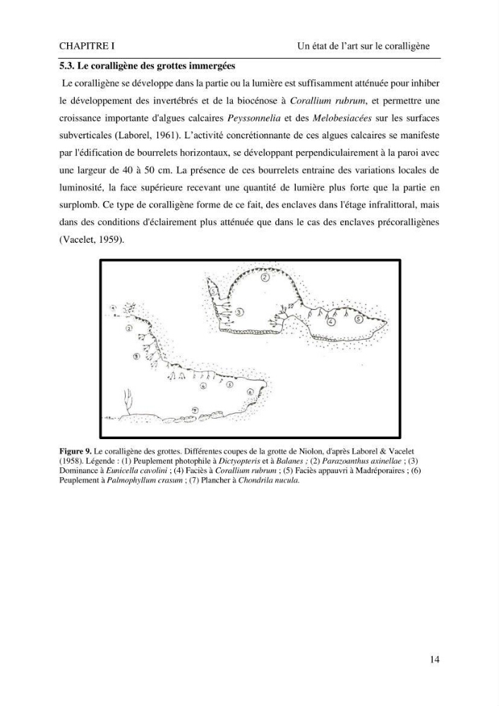 Contribution à la connaissance de la faune associée à l\'écosystème coralligène de la côte Algérienne:
