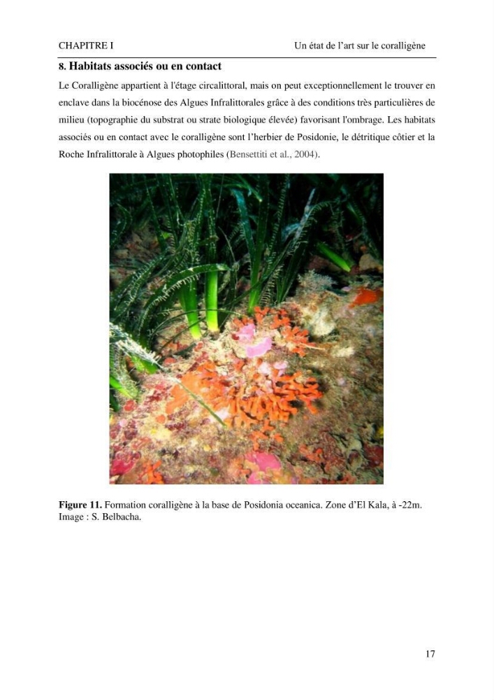 Contribution à la connaissance de la faune associée à l\'écosystème coralligène de la côte Algérienne: