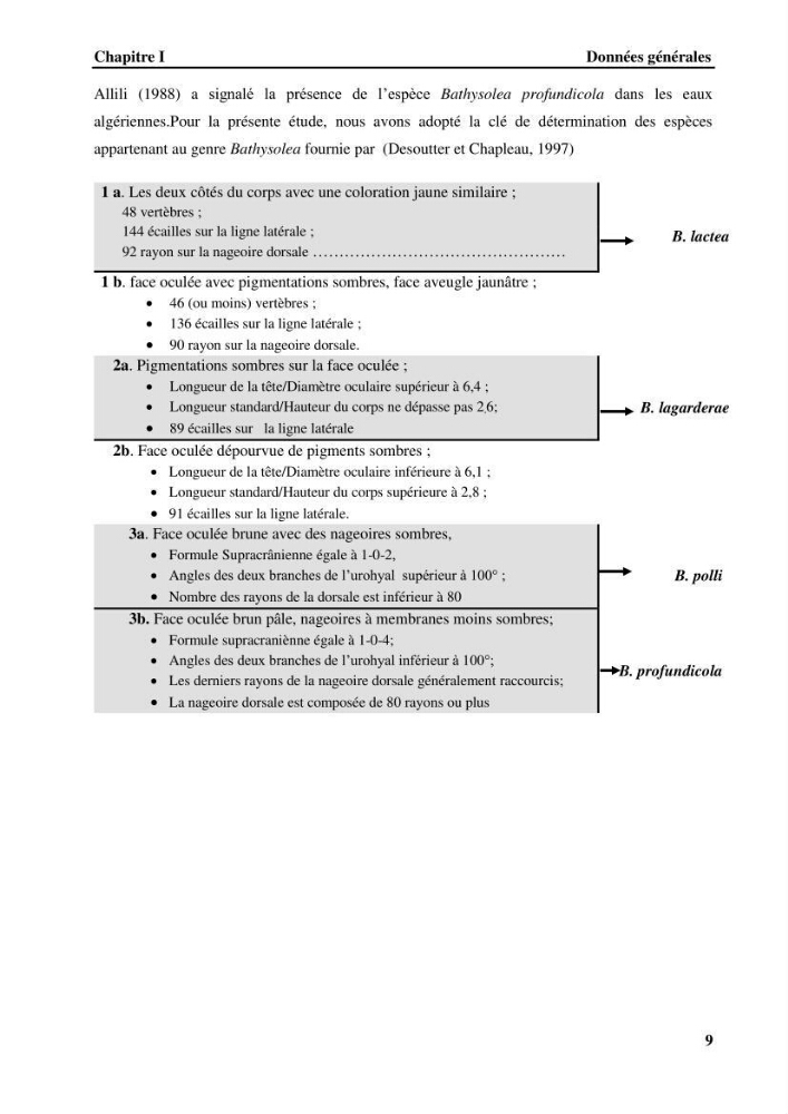 Contribution à l\'étude systématique du genre Bathysolea Roule,1916 (Pleuronnectiformes, Soleidae) des côtes Algeriennes