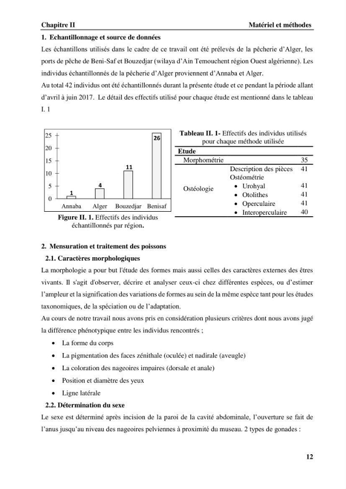 Contribution à l\'étude systématique du genre Bathysolea Roule,1916 (Pleuronnectiformes, Soleidae) des côtes Algeriennes