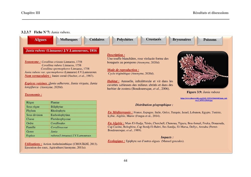 Inventaire préliminaire et caractérisation d’un échantillon d’espèces d’algues marines d’intérêt biotechnologique en Algérie.