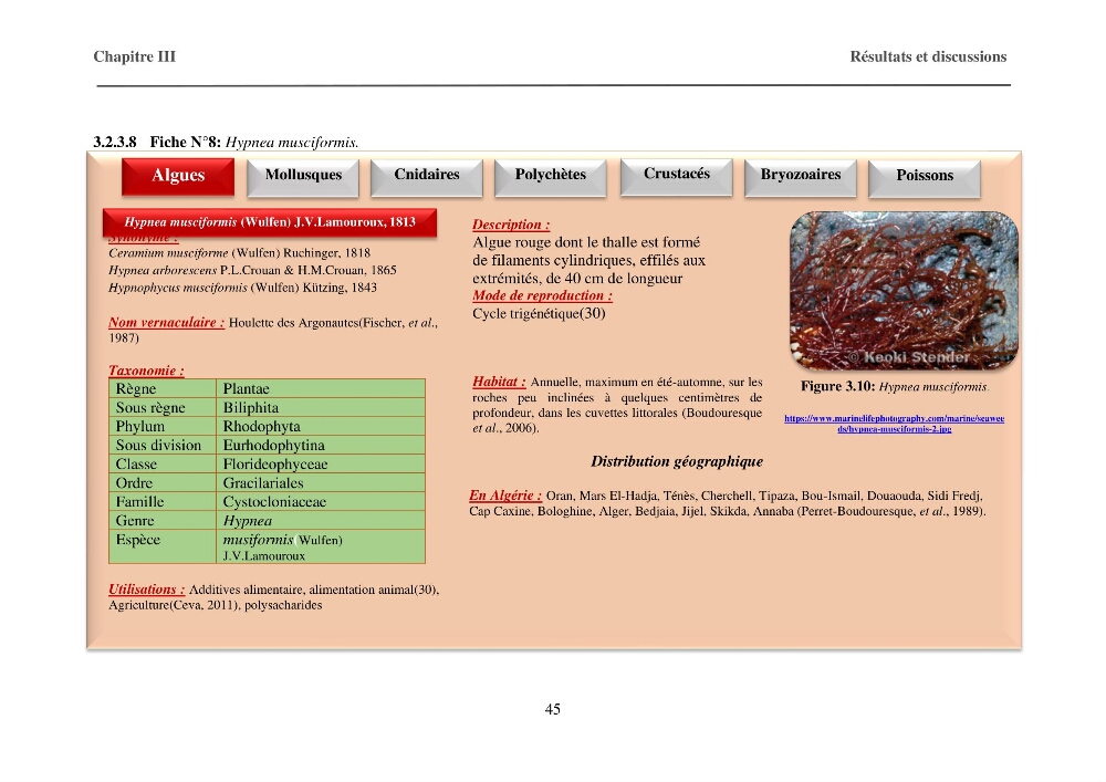 Inventaire préliminaire et caractérisation d’un échantillon d’espèces d’algues marines d’intérêt biotechnologique en Algérie.