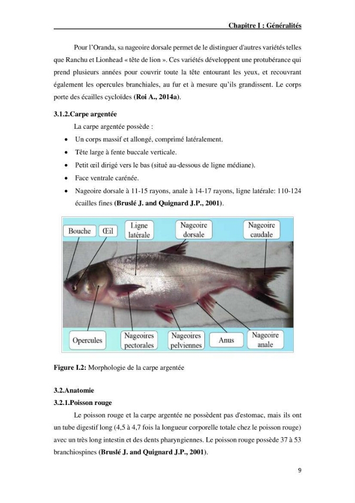 Maîtrise et suivi de la reproduction artificielle de quelques espèces de la famille des cyprinidés.