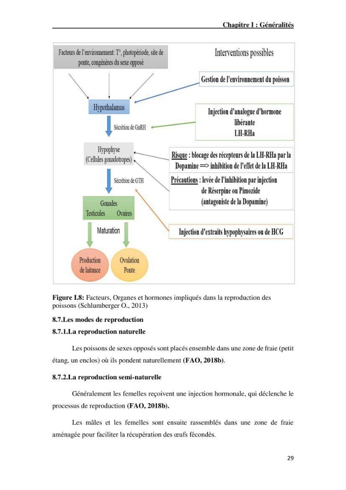 Maîtrise et suivi de la reproduction artificielle de quelques espèces de la famille des cyprinidés.