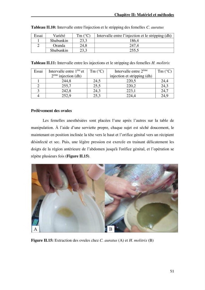 Maîtrise et suivi de la reproduction artificielle de quelques espèces de la famille des cyprinidés.