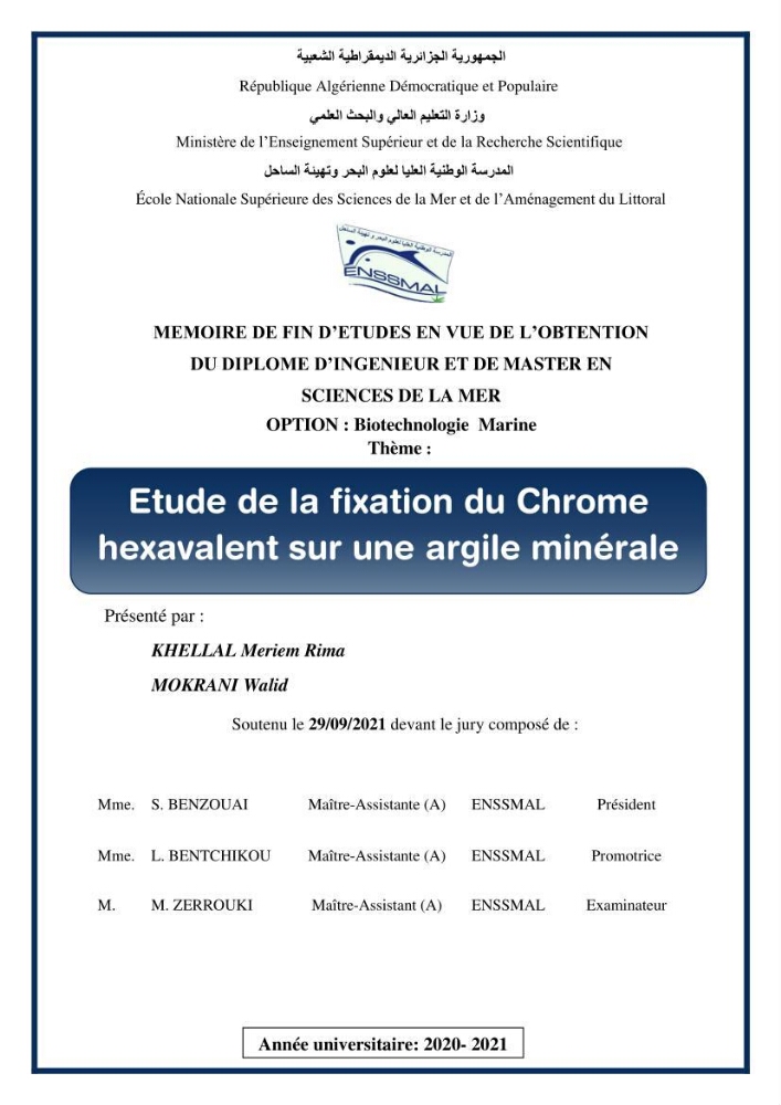 Etude de la fixation du chrome hexavalent sur une argile minérale