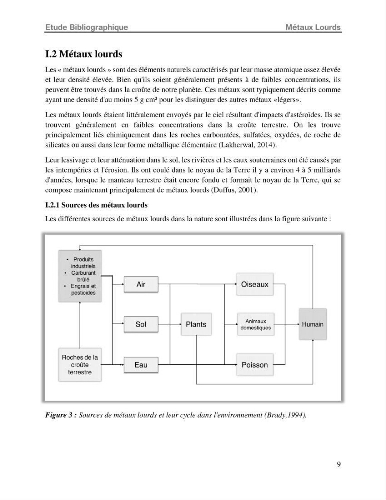 Etude de la fixation du chrome hexavalent sur une argile minérale