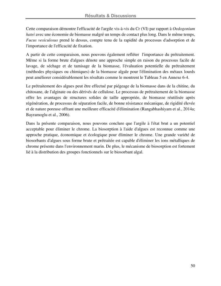 Etude de la fixation du chrome hexavalent sur une argile minérale