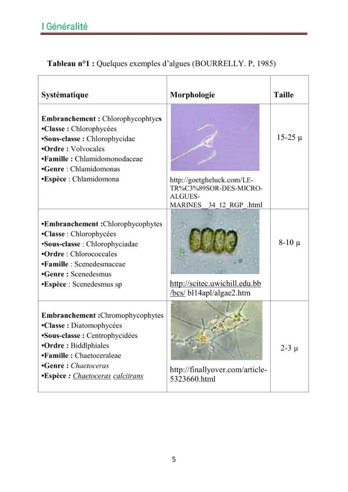 Culture des microalgues