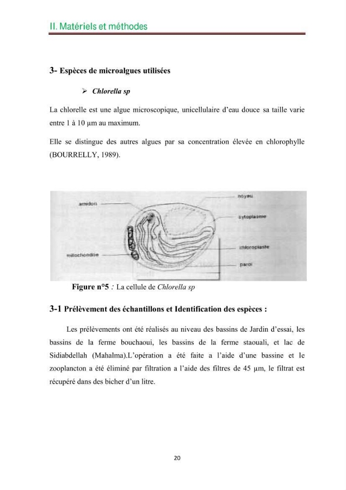 Culture des microalgues