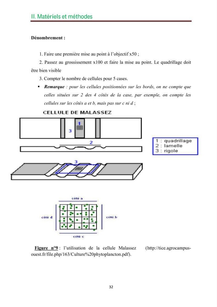 Culture des microalgues