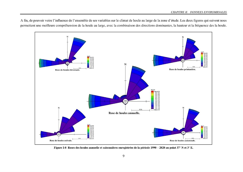 Machine Learning pour l\'étude de la performance hydraulique des ouvrages portuaires: cas Marina d\'Alger