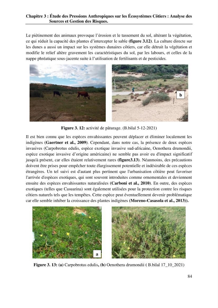 La télédétection et les systèmes d’information géographiques pour l’aide à la caractérisation des sources anthropiques: interactions paramétriques et conception des bases de données marines