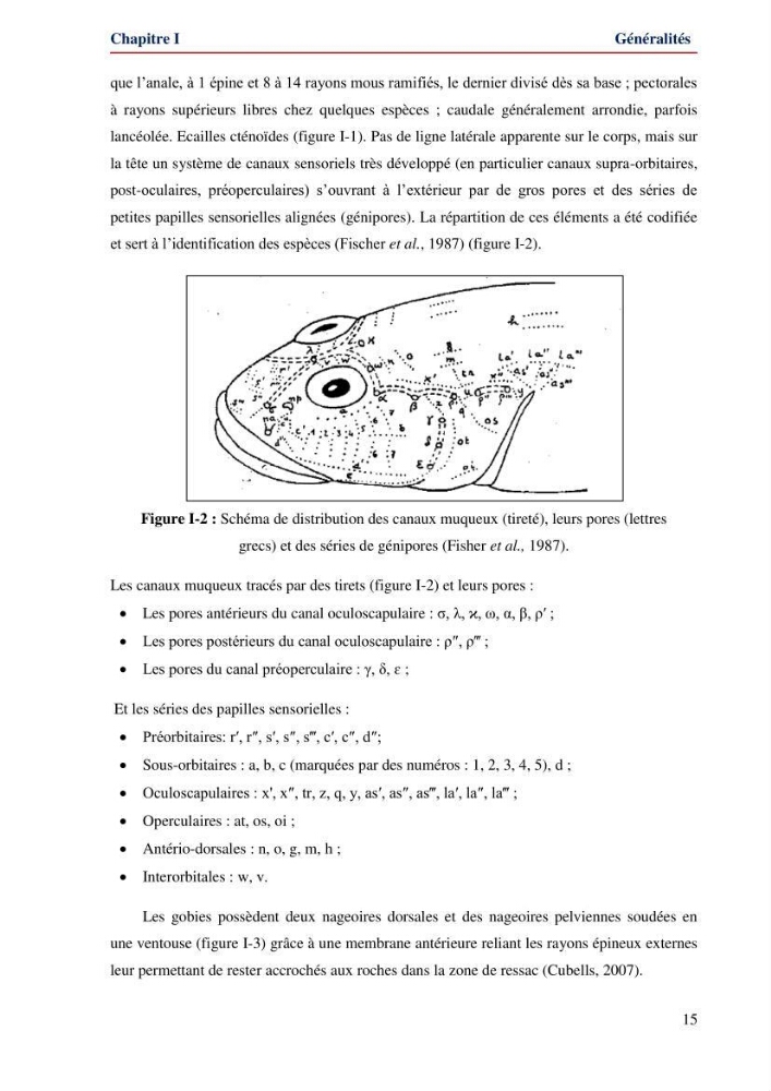 Contribution à l\'étude de la famille des Gobiidae (Ostéichtyens,Actinoptérygiens) du bassin algerien: inventaire de la famille et régime alimentaire du gobie Gobius niger Linnaeus, 1758)