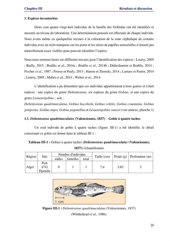 Contribution à l\'étude de la famille des Gobiidae (Ostéichtyens,Actinoptérygiens) du bassin algerien: inventaire de la famille et régime alimentaire du gobie Gobius niger Linnaeus, 1758)