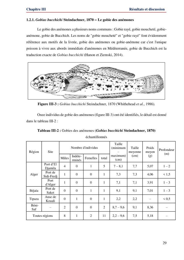 Contribution à l\'étude de la famille des Gobiidae (Ostéichtyens,Actinoptérygiens) du bassin algerien: inventaire de la famille et régime alimentaire du gobie Gobius niger Linnaeus, 1758)