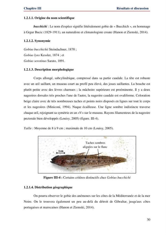 Contribution à l\'étude de la famille des Gobiidae (Ostéichtyens,Actinoptérygiens) du bassin algerien: inventaire de la famille et régime alimentaire du gobie Gobius niger Linnaeus, 1758)