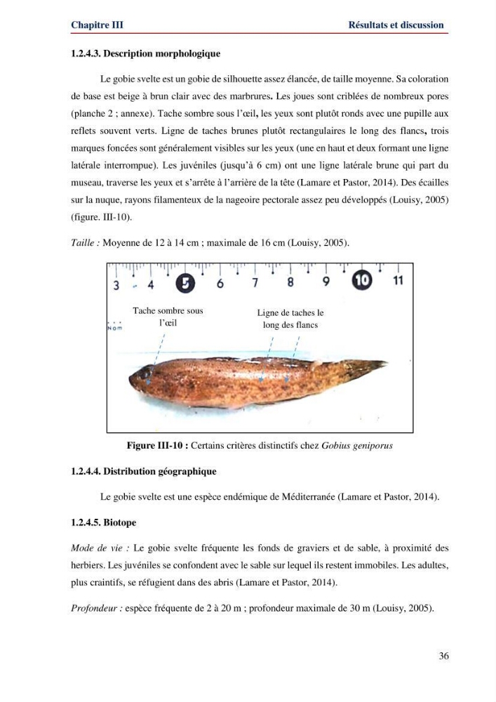 Contribution à l\'étude de la famille des Gobiidae (Ostéichtyens,Actinoptérygiens) du bassin algerien: inventaire de la famille et régime alimentaire du gobie Gobius niger Linnaeus, 1758)
