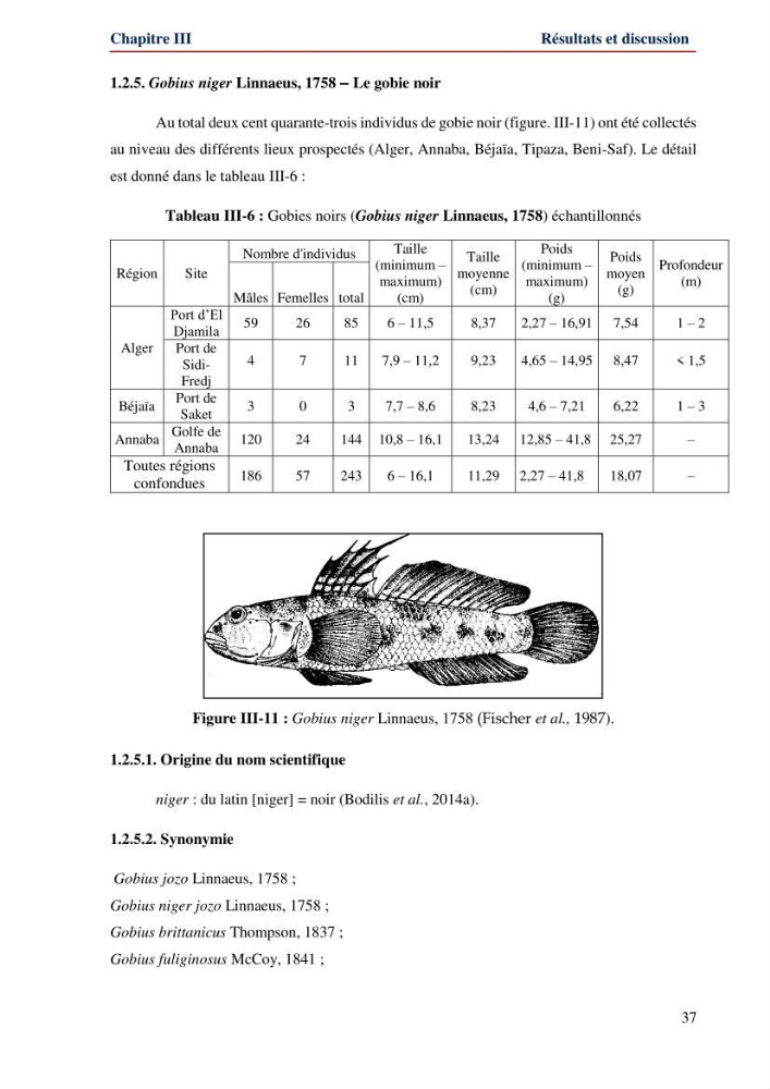 Contribution à l\'étude de la famille des Gobiidae (Ostéichtyens,Actinoptérygiens) du bassin algerien: inventaire de la famille et régime alimentaire du gobie Gobius niger Linnaeus, 1758)