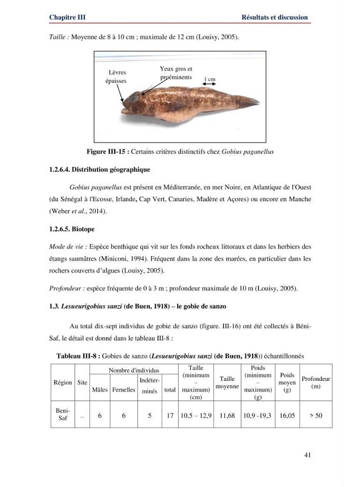 Contribution à l\'étude de la famille des Gobiidae (Ostéichtyens,Actinoptérygiens) du bassin algerien: inventaire de la famille et régime alimentaire du gobie Gobius niger Linnaeus, 1758)
