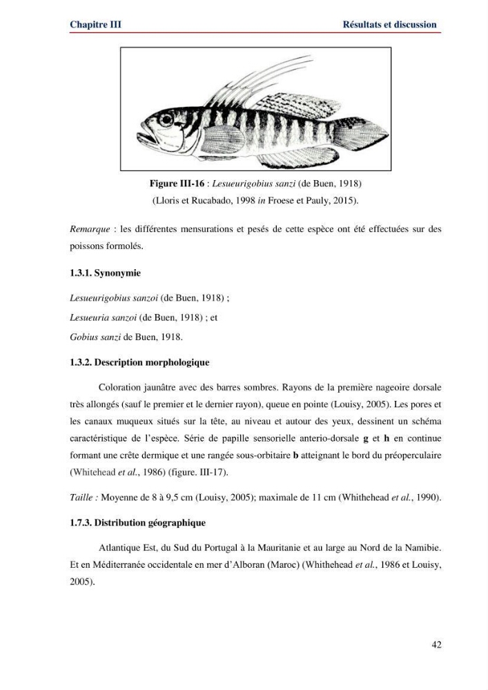 Contribution à l\'étude de la famille des Gobiidae (Ostéichtyens,Actinoptérygiens) du bassin algerien: inventaire de la famille et régime alimentaire du gobie Gobius niger Linnaeus, 1758)