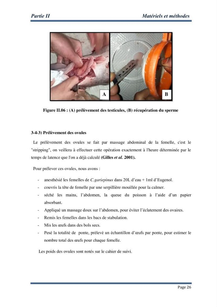 Maitrise de la reproduction artificielle et étude comparative de la croissance du poisson-chat africain Clarias gariepinus (Bruchell,1822 ) selon trois formules d\'aliments: