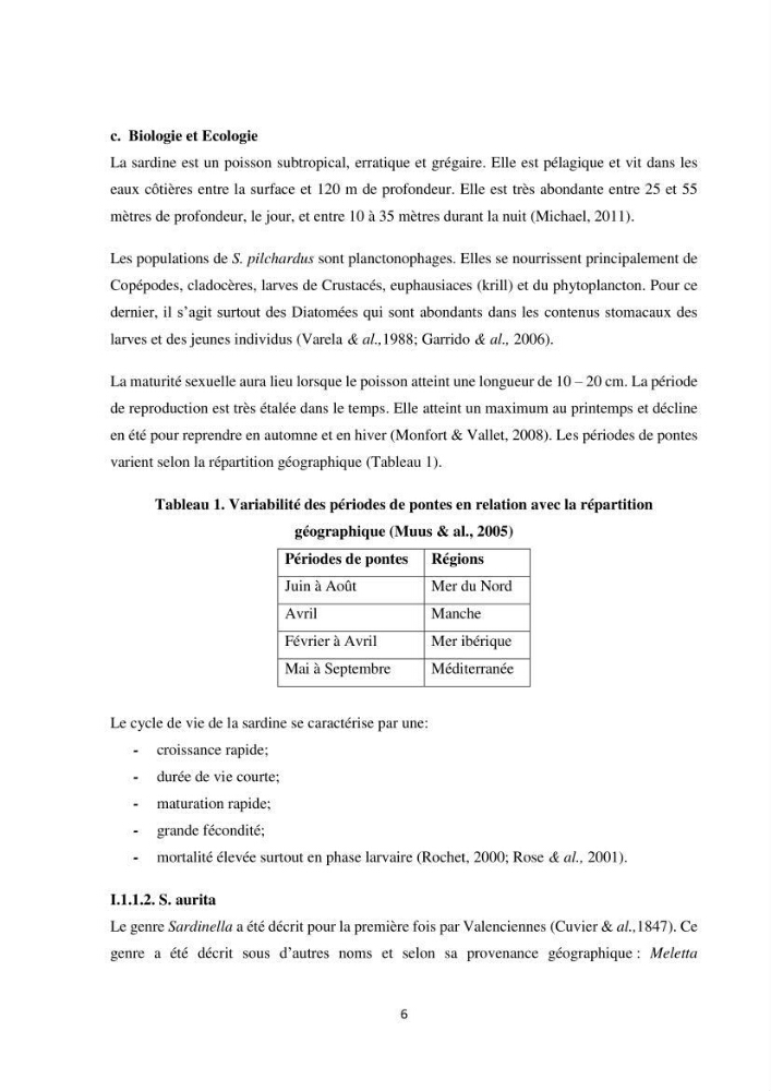 Peuplements zooplanctoniques et ichtyologiques (Clupéidae, Engraulidae) de la côte algéroise : interactions, flux de matières et conséquences sur les stocks halieutiques