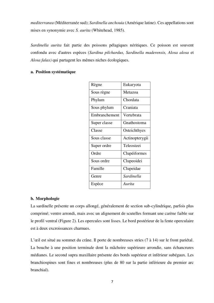 Peuplements zooplanctoniques et ichtyologiques (Clupéidae, Engraulidae) de la côte algéroise : interactions, flux de matières et conséquences sur les stocks halieutiques