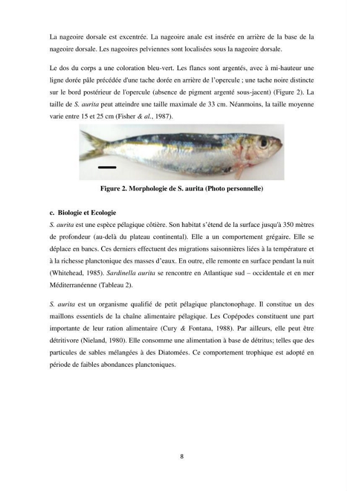 Peuplements zooplanctoniques et ichtyologiques (Clupéidae, Engraulidae) de la côte algéroise : interactions, flux de matières et conséquences sur les stocks halieutiques