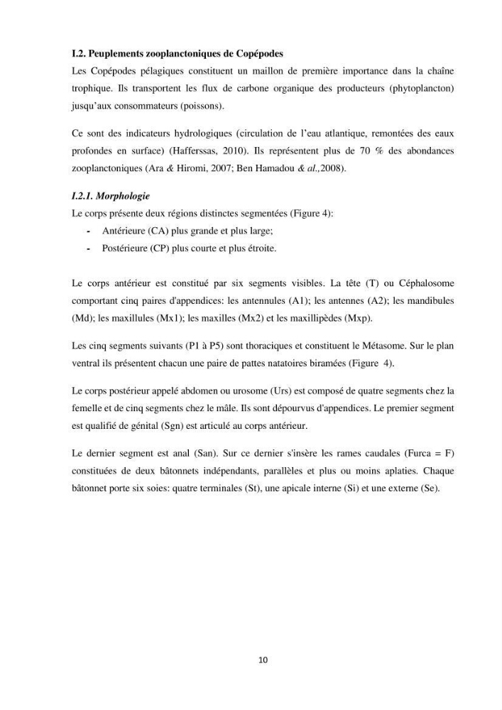 Peuplements zooplanctoniques et ichtyologiques (Clupéidae, Engraulidae) de la côte algéroise : interactions, flux de matières et conséquences sur les stocks halieutiques