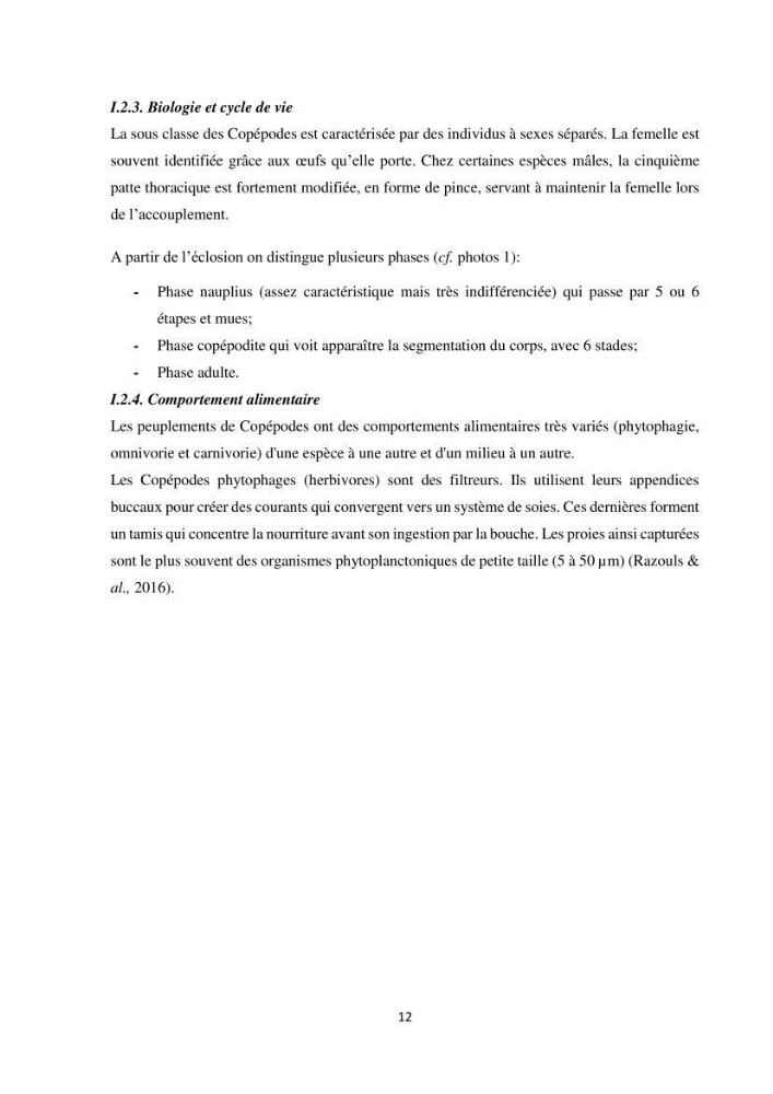Peuplements zooplanctoniques et ichtyologiques (Clupéidae, Engraulidae) de la côte algéroise : interactions, flux de matières et conséquences sur les stocks halieutiques