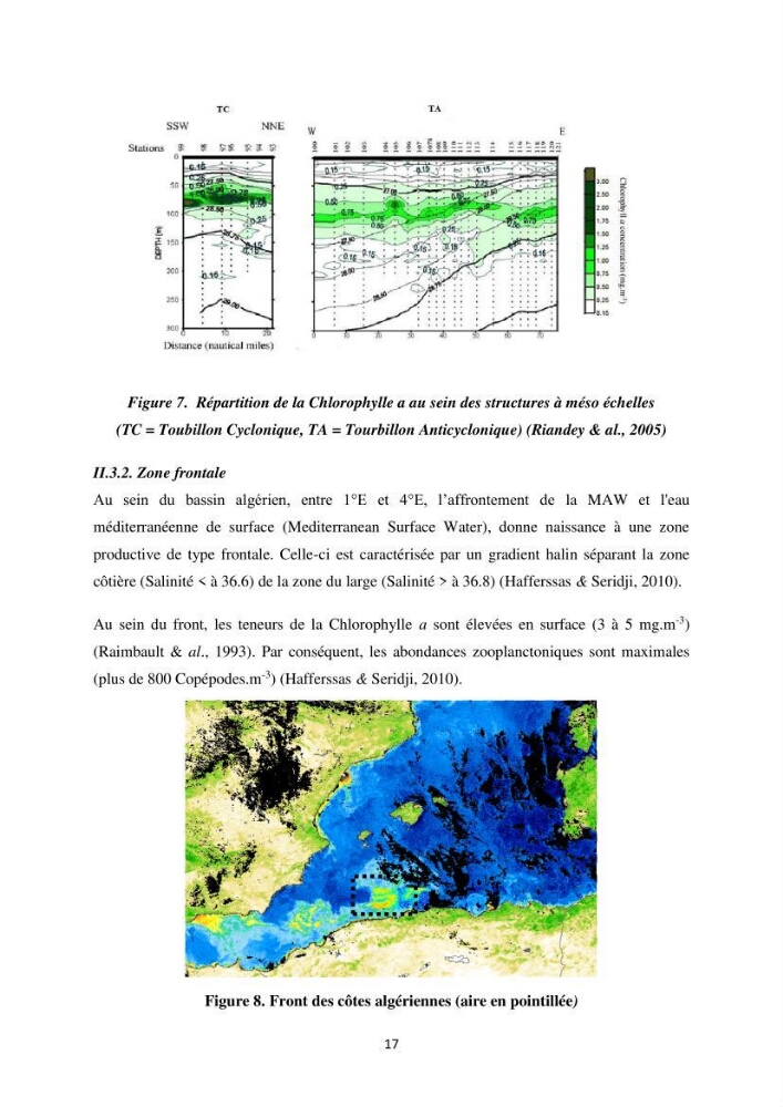 Peuplements zooplanctoniques et ichtyologiques (Clupéidae, Engraulidae) de la côte algéroise : interactions, flux de matières et conséquences sur les stocks halieutiques