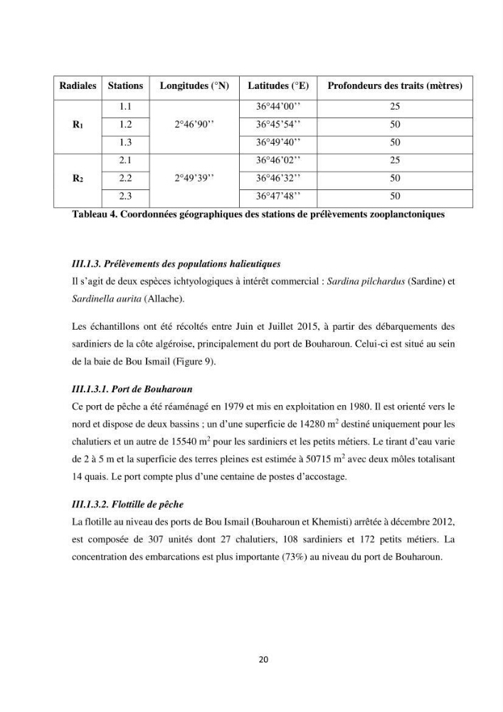 Peuplements zooplanctoniques et ichtyologiques (Clupéidae, Engraulidae) de la côte algéroise : interactions, flux de matières et conséquences sur les stocks halieutiques