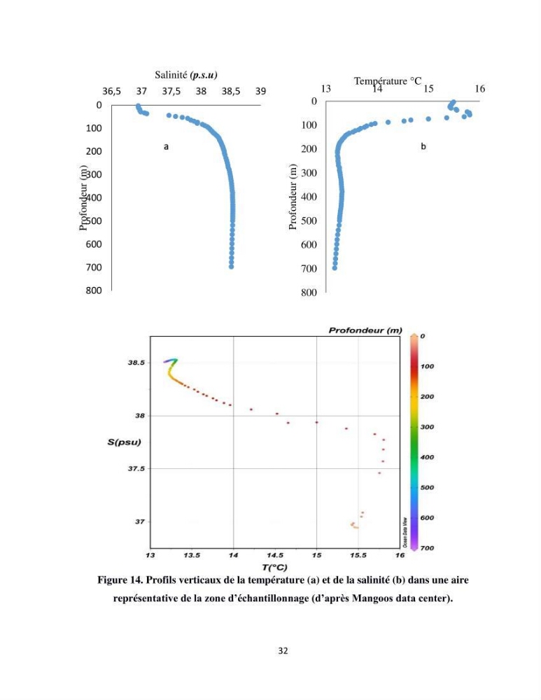 Peuplements zooplanctoniques et ichtyologiques (Clupéidae, Engraulidae) de la côte algéroise : interactions, flux de matières et conséquences sur les stocks halieutiques