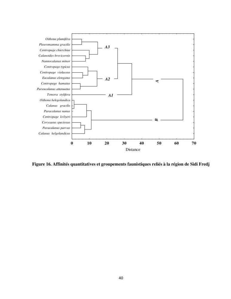 Peuplements zooplanctoniques et ichtyologiques (Clupéidae, Engraulidae) de la côte algéroise : interactions, flux de matières et conséquences sur les stocks halieutiques