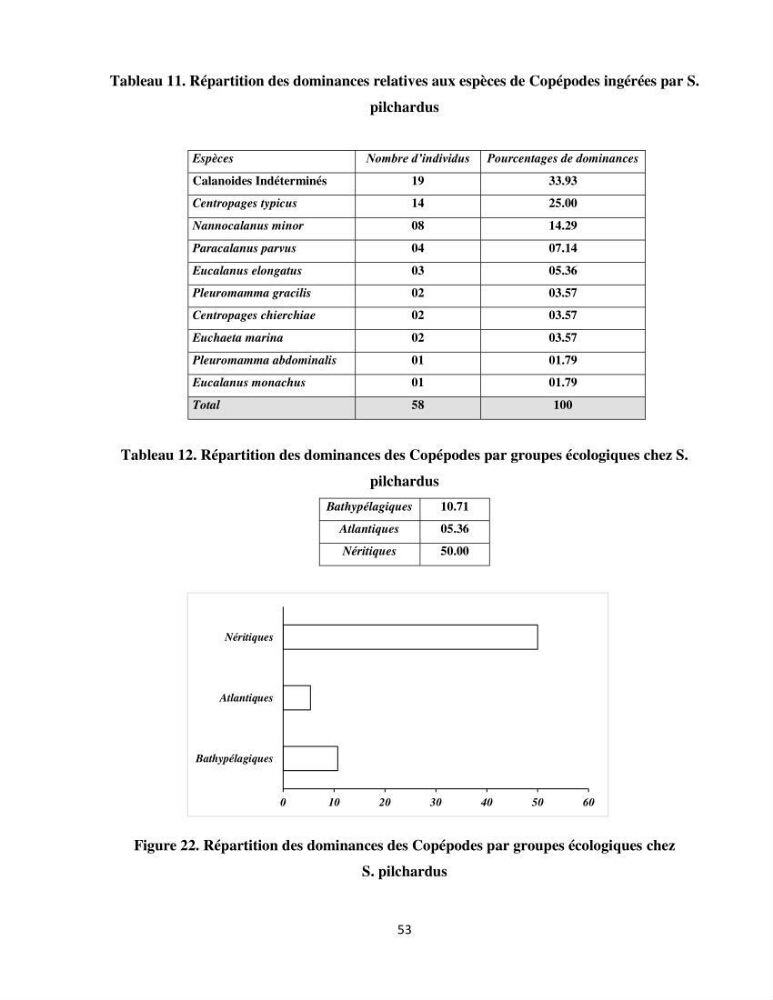Peuplements zooplanctoniques et ichtyologiques (Clupéidae, Engraulidae) de la côte algéroise : interactions, flux de matières et conséquences sur les stocks halieutiques
