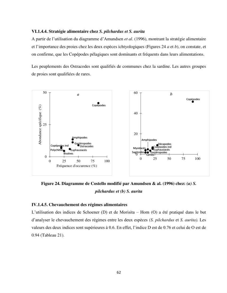 Peuplements zooplanctoniques et ichtyologiques (Clupéidae, Engraulidae) de la côte algéroise : interactions, flux de matières et conséquences sur les stocks halieutiques