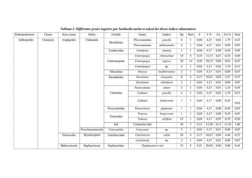 Peuplements zooplanctoniques et ichtyologiques (Clupéidae, Engraulidae) de la côte algéroise : interactions, flux de matières et conséquences sur les stocks halieutiques