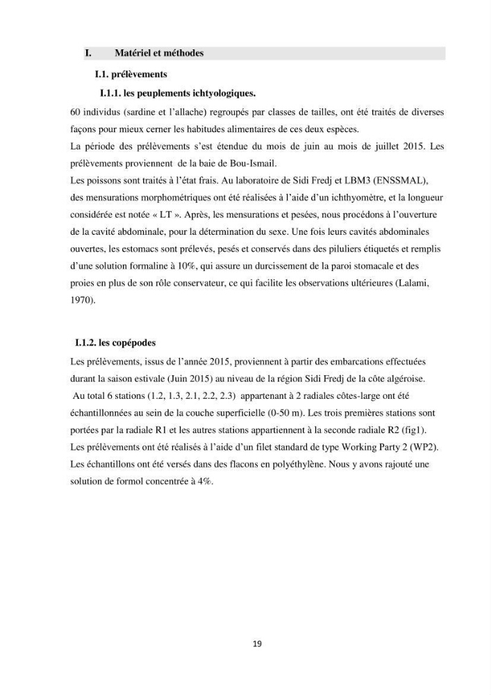 Peuplements zooplanctoniques et ichtyologiques (Clupéidae, Engraulidae) de la côte algéroise : interactions, flux de matières et conséquences sur les stocks halieutiques