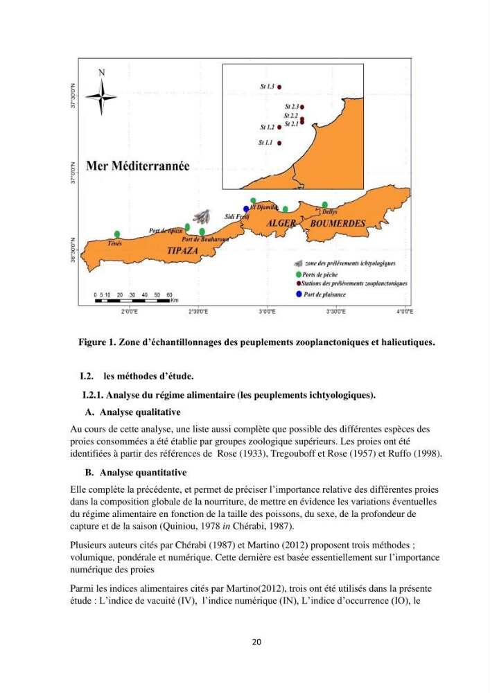 Peuplements zooplanctoniques et ichtyologiques (Clupéidae, Engraulidae) de la côte algéroise : interactions, flux de matières et conséquences sur les stocks halieutiques